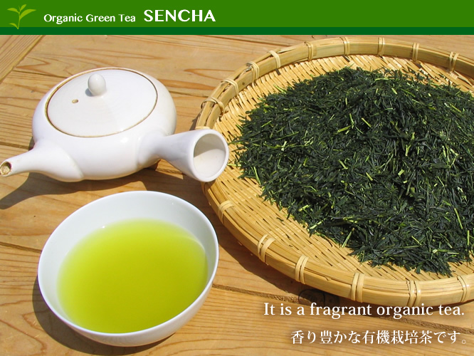 Sencha / 煎茶